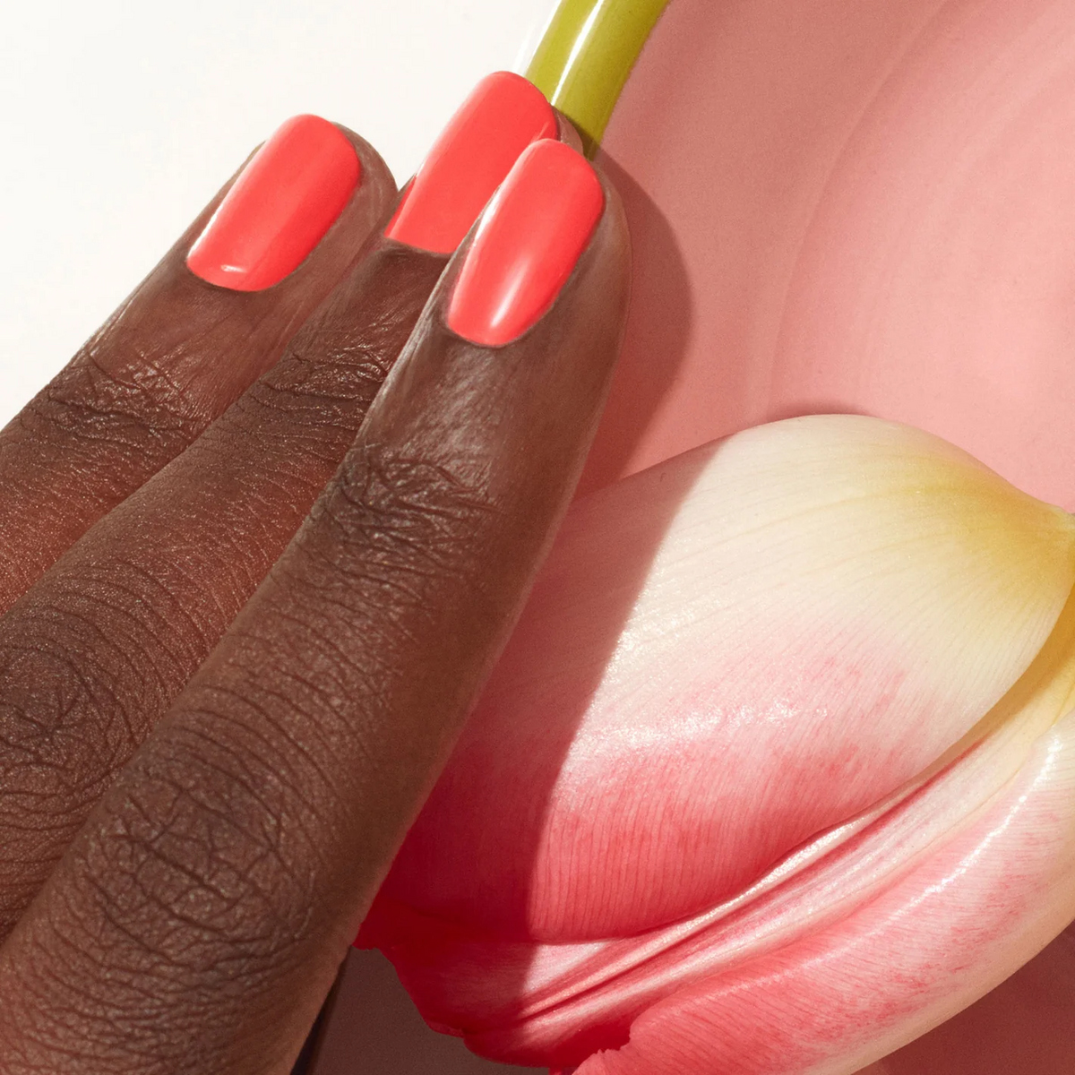 Une main à la peau foncée porte Pulp de Manucurist, un vernis gel rose corail vif, délicatement posée sur un pétale de tulipe rose et blanc sur un fond rose doux.