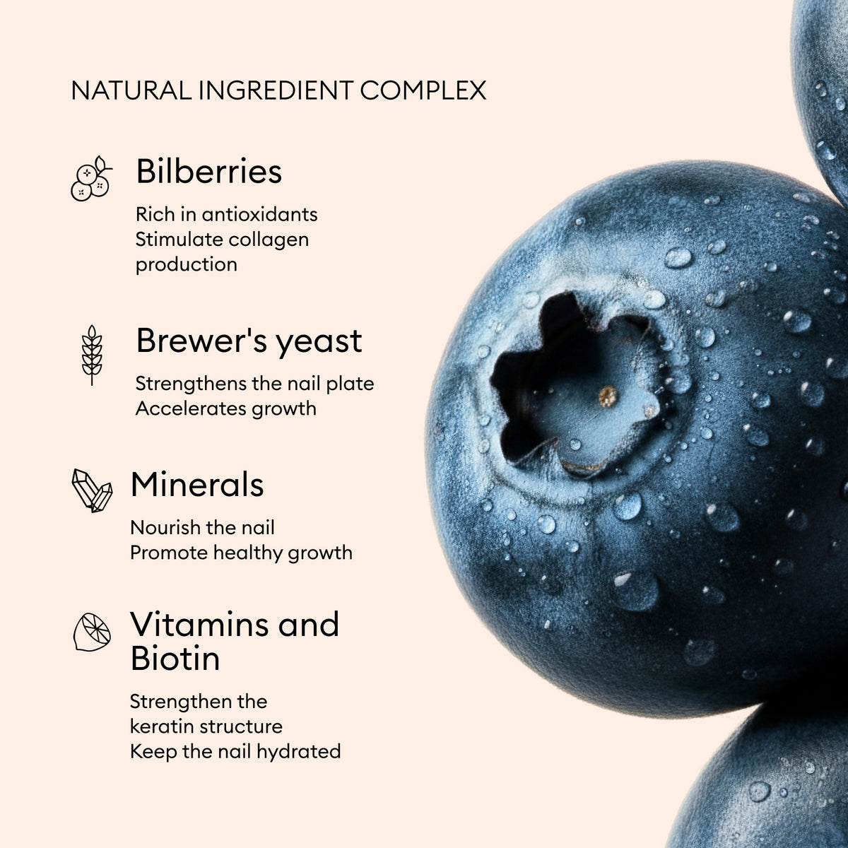 Gros plan de myrtilles couvertes de rosée à droite, à côté d’un texte listant les ingrédients naturels de Nail Boost : myrtilles, levure de bière, minéraux, vitamines, biotine — les icônes Manucurist mettent en avant les bienfaits pour la croissance des ongles et la santé de la peau.