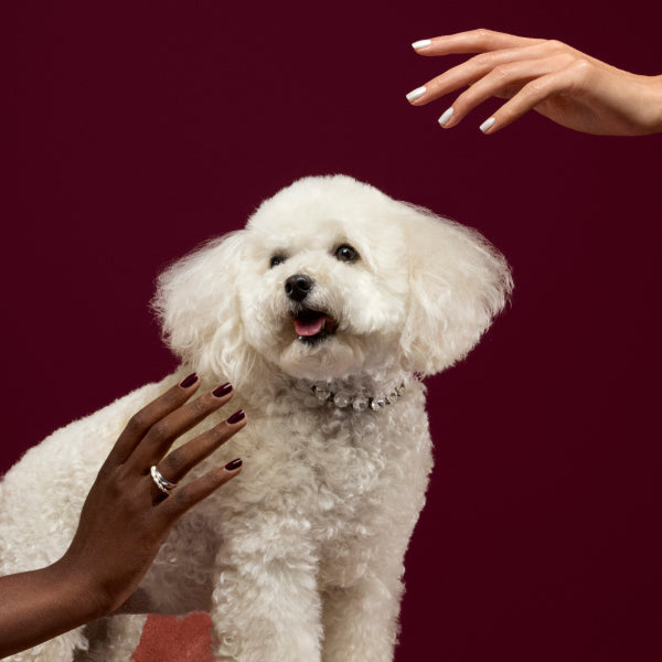 Christmas Nails 2025: Manicure and Nail Art Ideas for the Holiday Season
