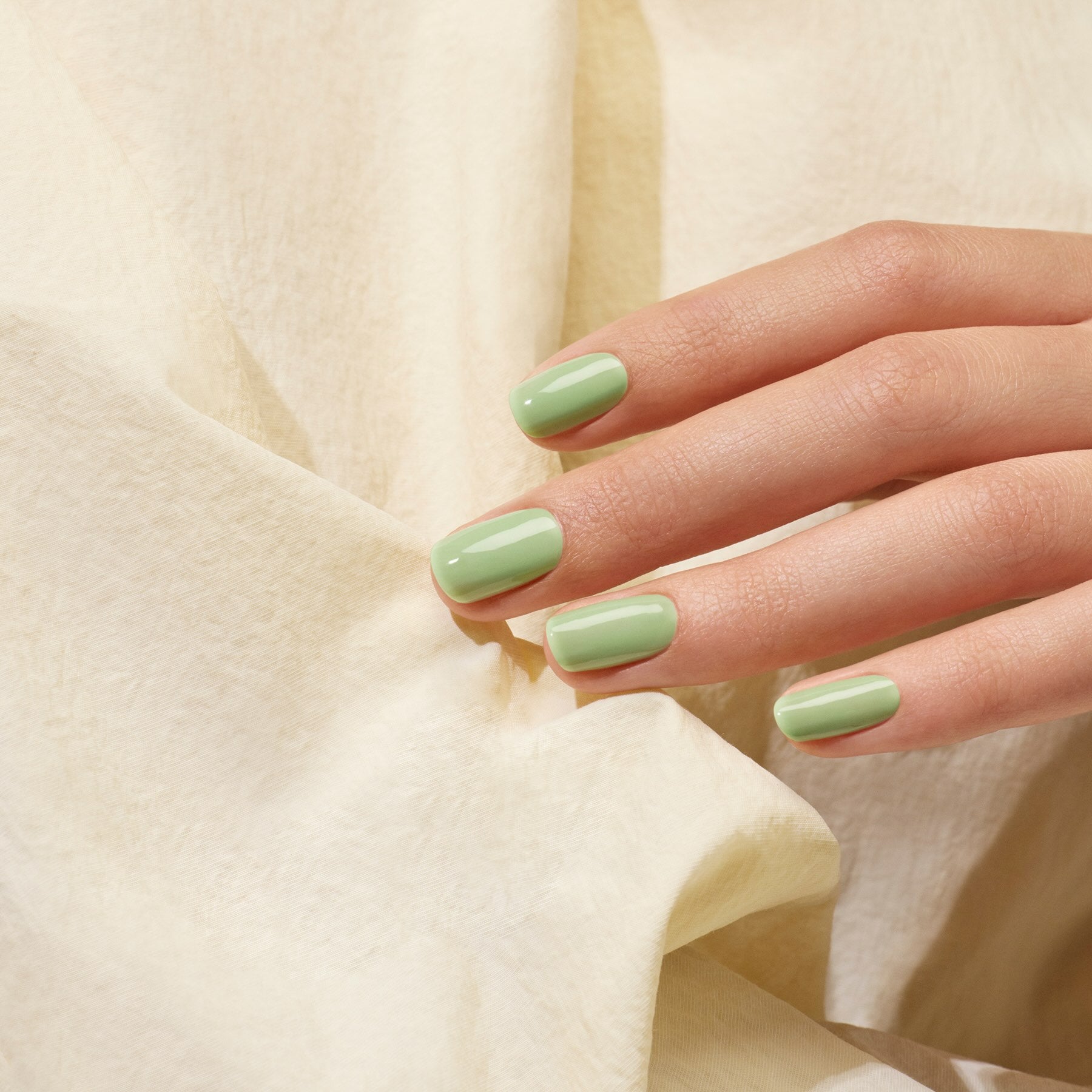 Milky Matcha