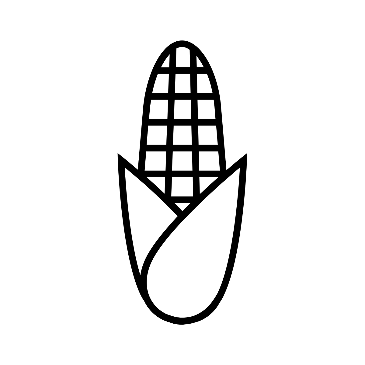 Un dessin au trait simple en noir et blanc d'un épi de maïs dont les feuilles sont partiellement ouvertes, révélant les grains à l'intérieur.