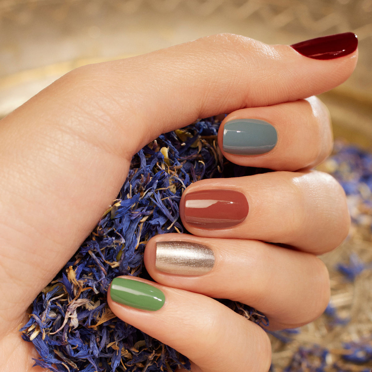 A hand with short nails painted in shades from the Manucurist Customizable 5-pack rests on dried blue and beige flower petals.