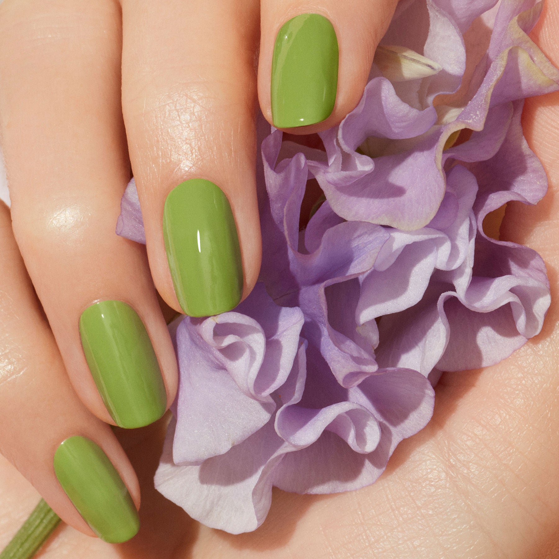 pistachio green nails｜TikTok Search