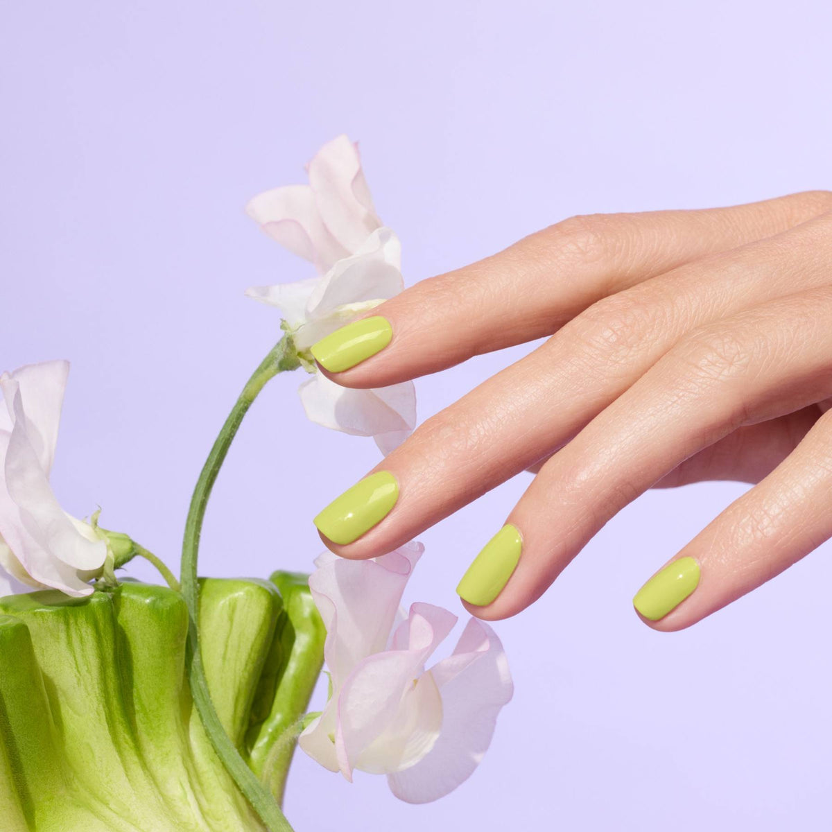 Une main manucurée avec le vernis gel Manucurist Lime touche de délicates fleurs rose pâle sur un fond violet pastel.