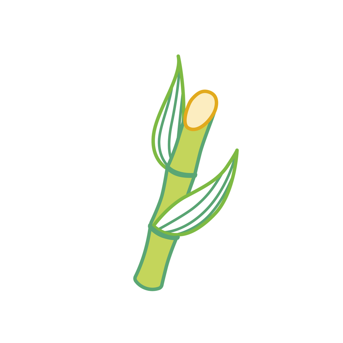 Une illustration épurée d'une tige de canne à sucre verte avec deux feuilles et une extrémité coupée, dessinée dans un style minimaliste et cartoon sur un fond blanc uni.