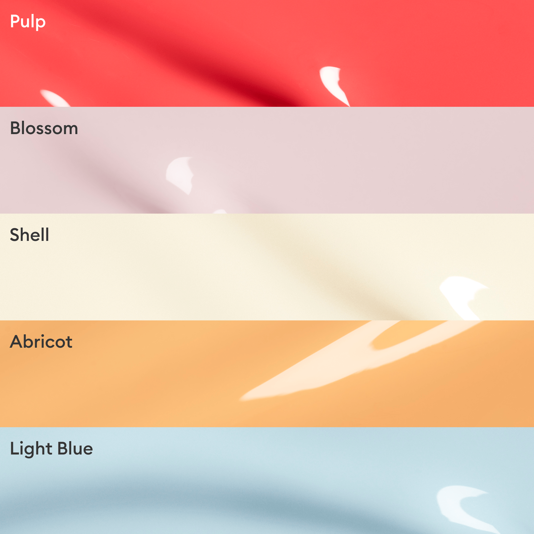 Curated Color Collections