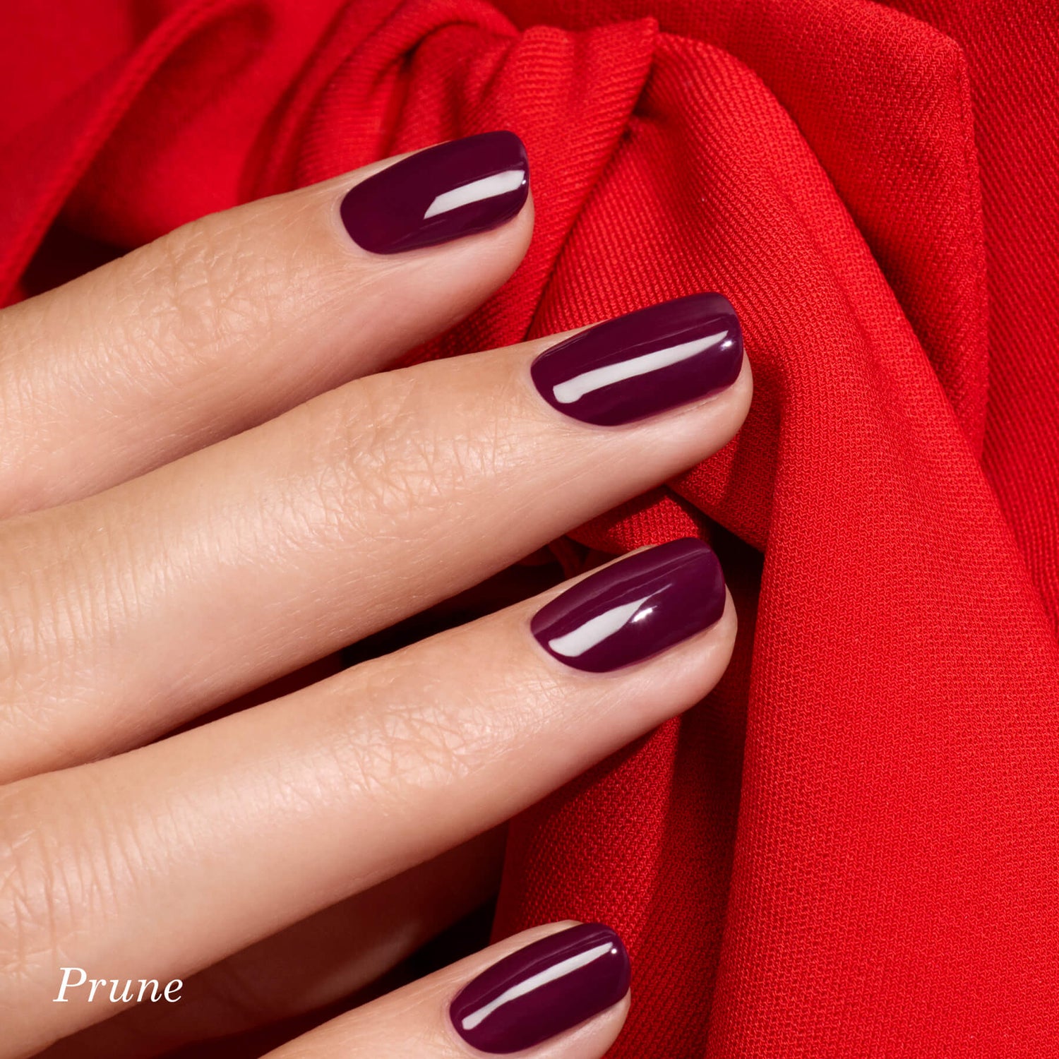 A hand with neatly manicured nails painted a glossy deep plum color rests against bright red fabric tied in a bow. The word Prune appears in the bottom left corner.