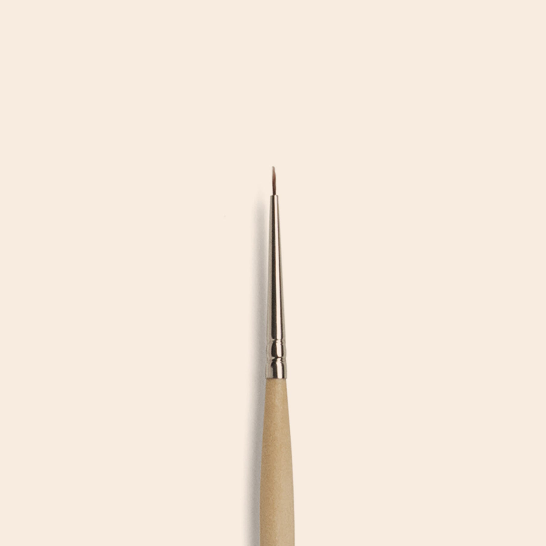 Nail Art Brush