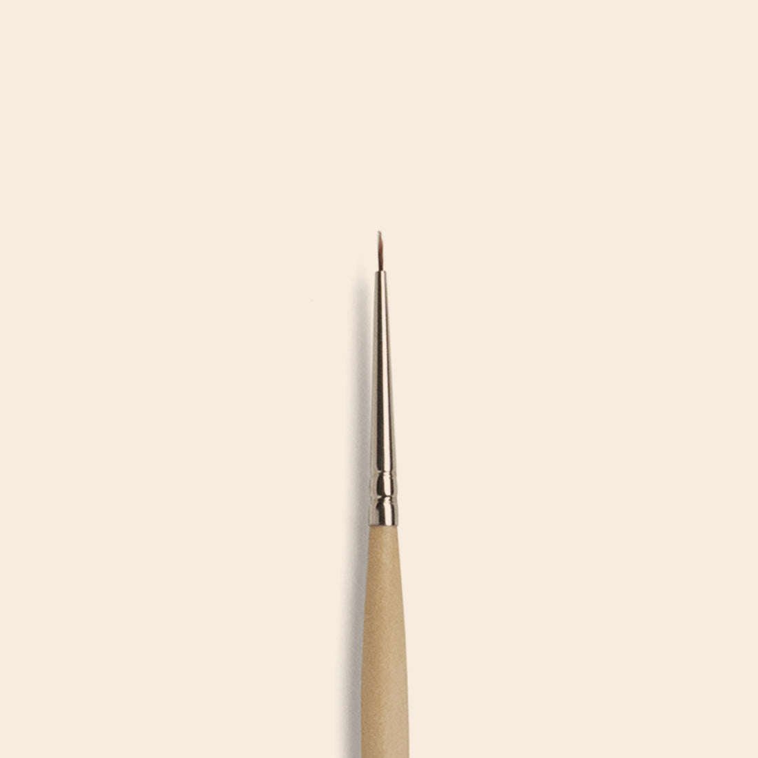 Nail Art Brush