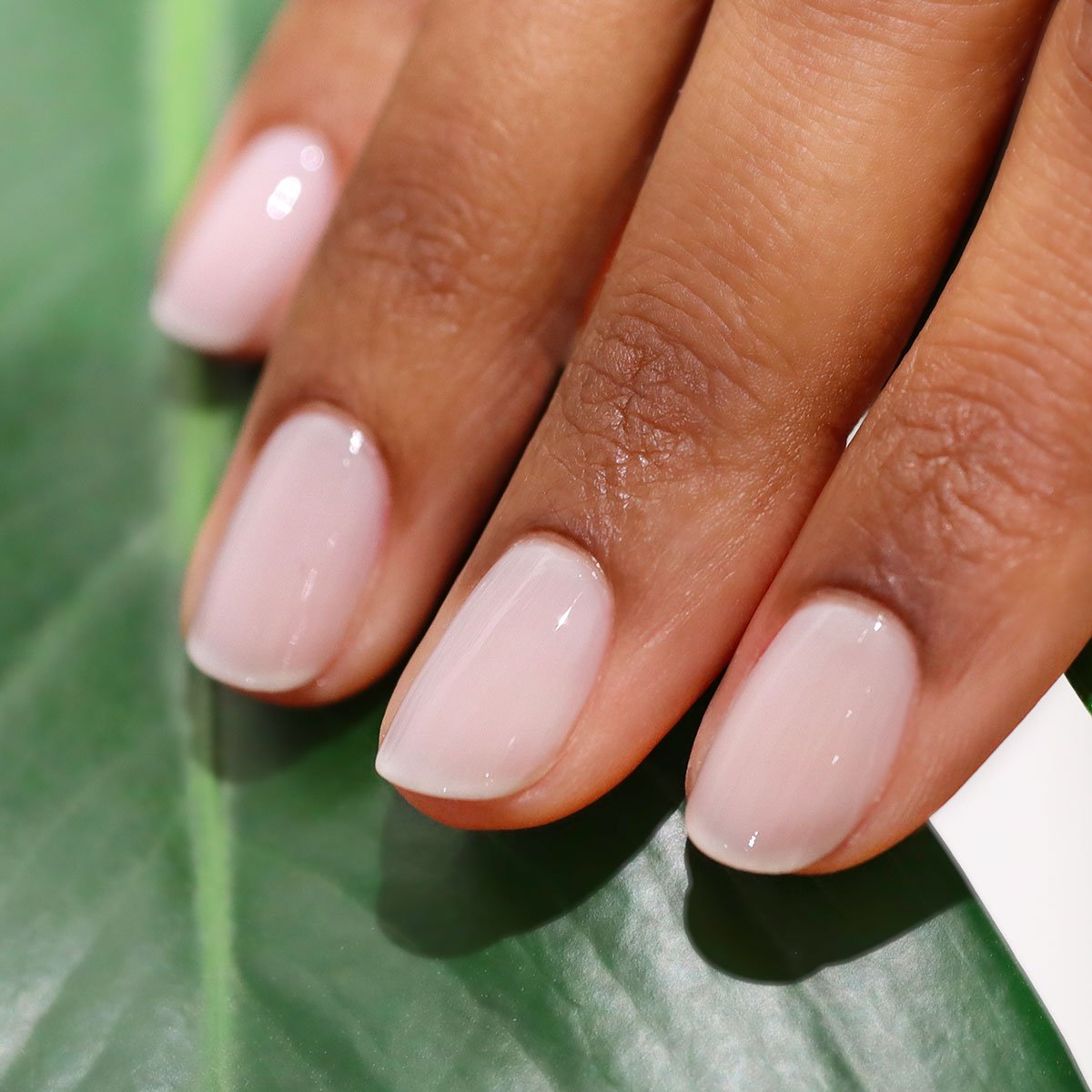 A close-up of a hand with neatly manicured nails painted in Manucurist&
