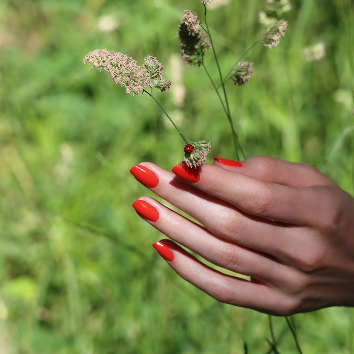 A hand with Manucurist&